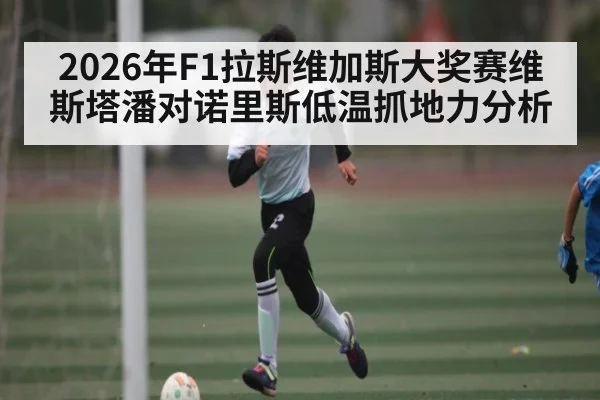 2026年F1拉斯维加斯大奖赛维斯塔潘对诺里斯低温抓地力分析 - manguan